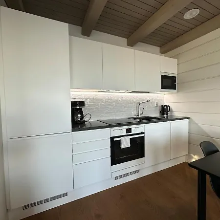 Daire Naava Chalet 302 - Cozy Apartment With Lake View And Sauna Ähtäri